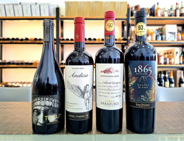 Wine Discussion - Chilean Premium Reds